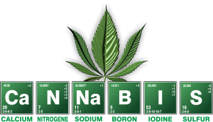 Cannabispflanze wird buchstabiert